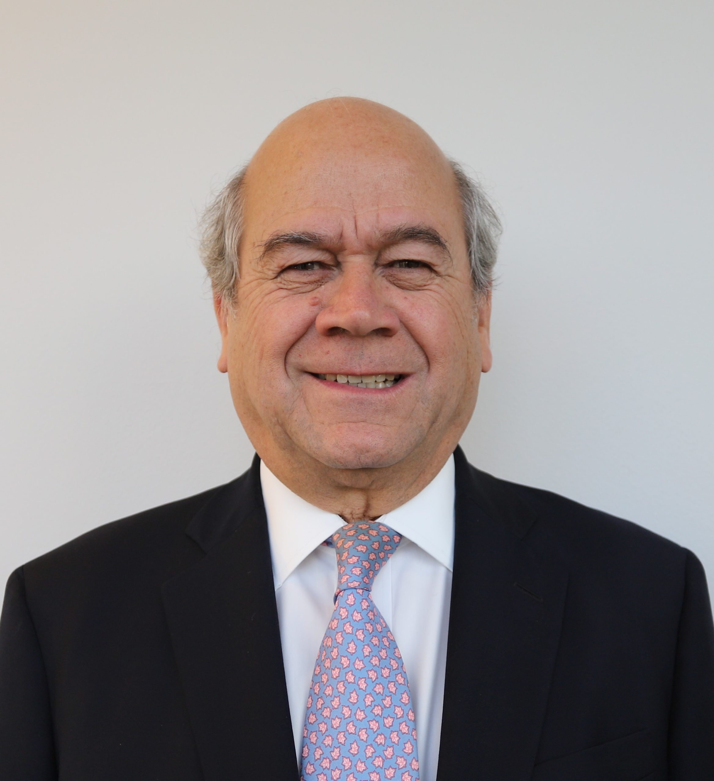 Ignacio Ruiz-Tagle Vergara