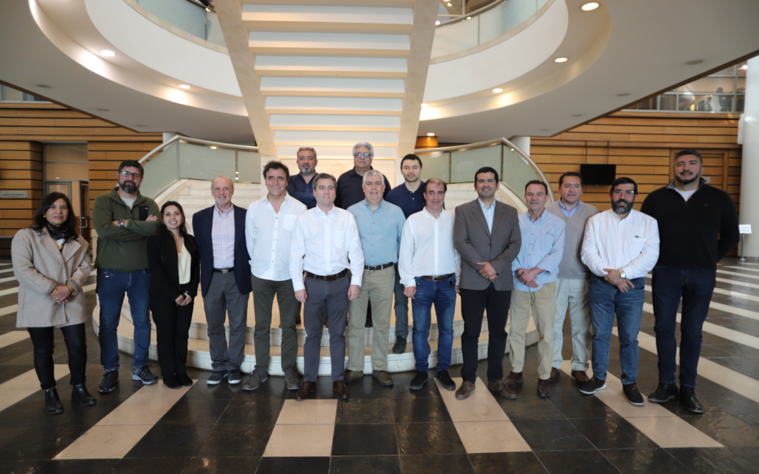 Nuestro Equipo Completa con Éxito el Curso «Dirección de Proyectos»