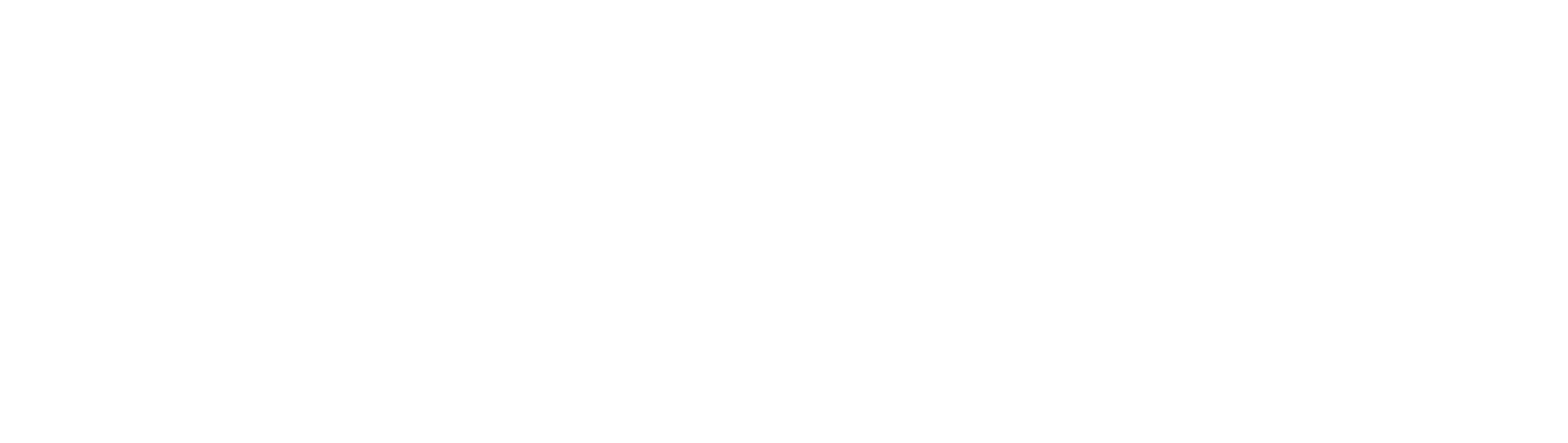 Mas Errázuriz